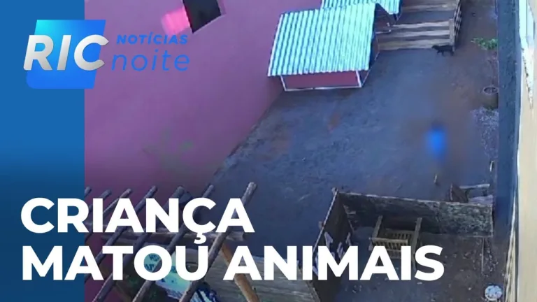 Criança de 9 anos, mata 23 animais após invadir hospital veterinário em Nova Fátima