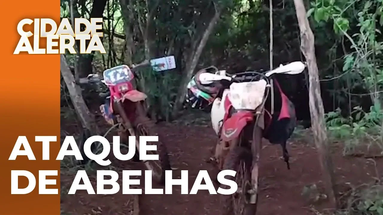 Enxame de abelhas ataca trilheiros em Marialva; motociclistas abandonam veículos para fugir