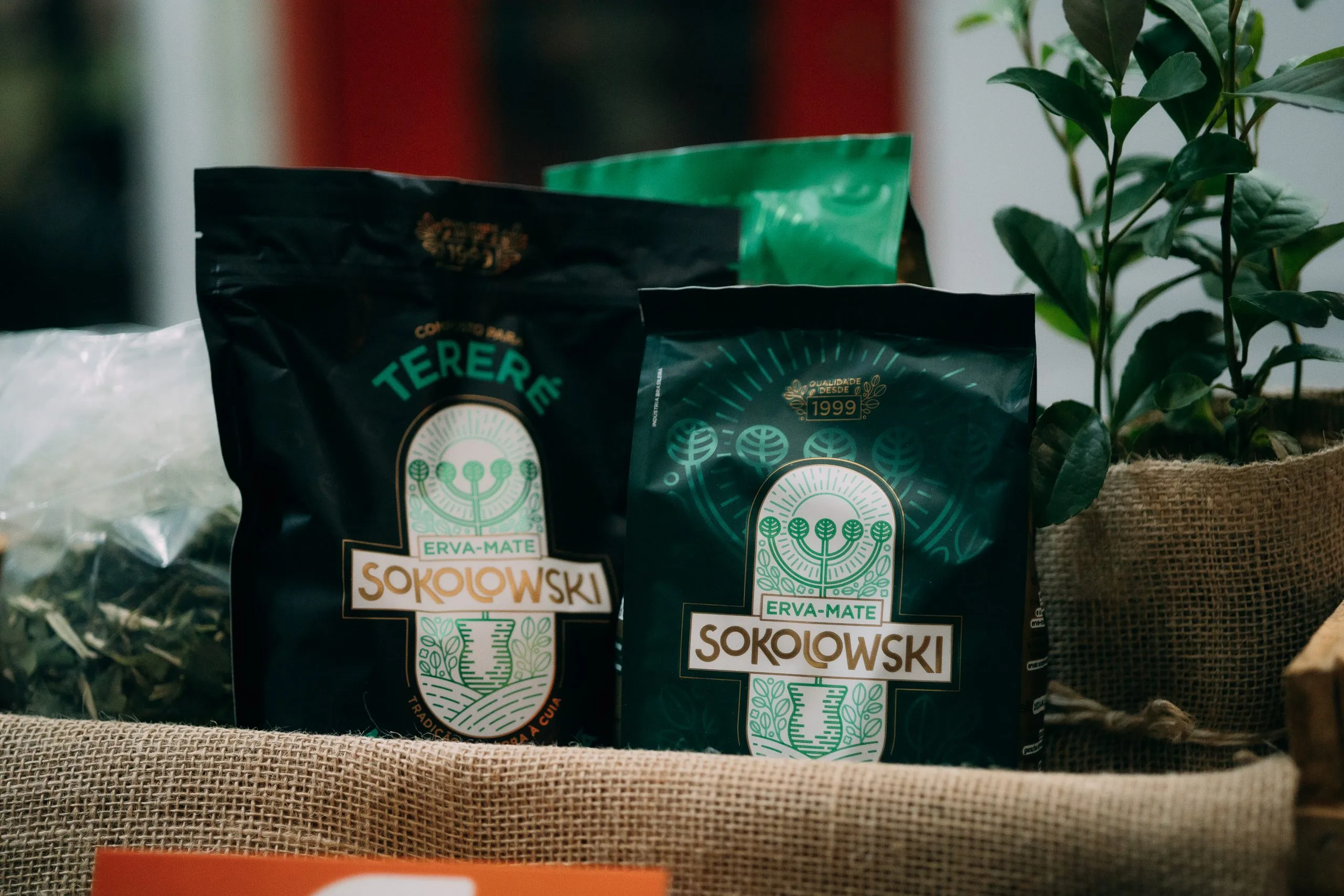 erva mate no Paraná