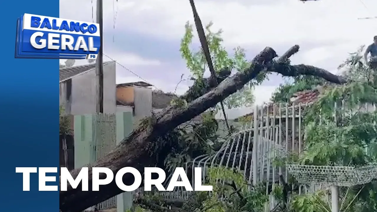 Temporal: chuva e ventos derrubam mais de 15 árvores; barracão de cooperativo é destruído