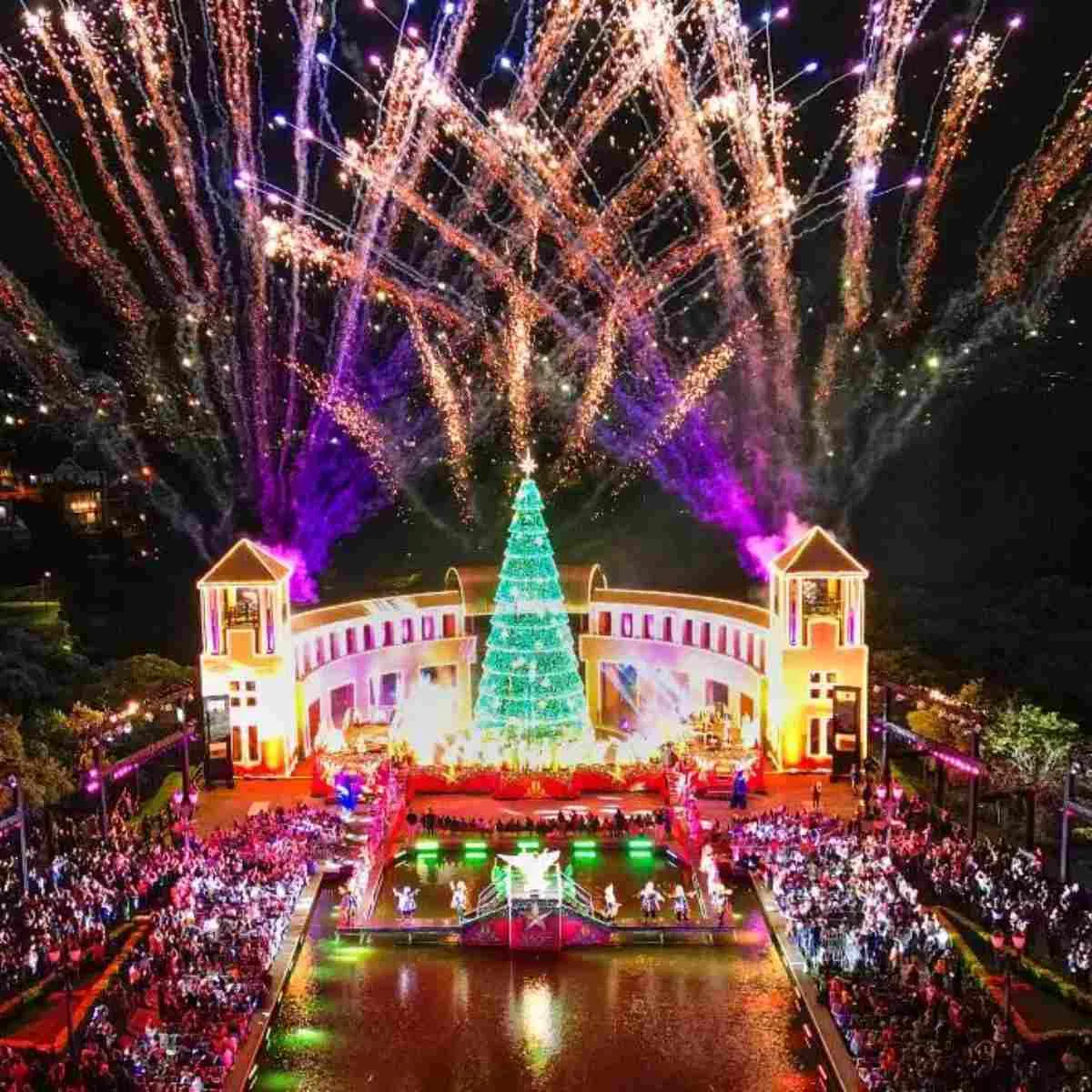 Programação do Natal de Curitiba - Luz dos Pinhais será lançada nesta quarta (30)
