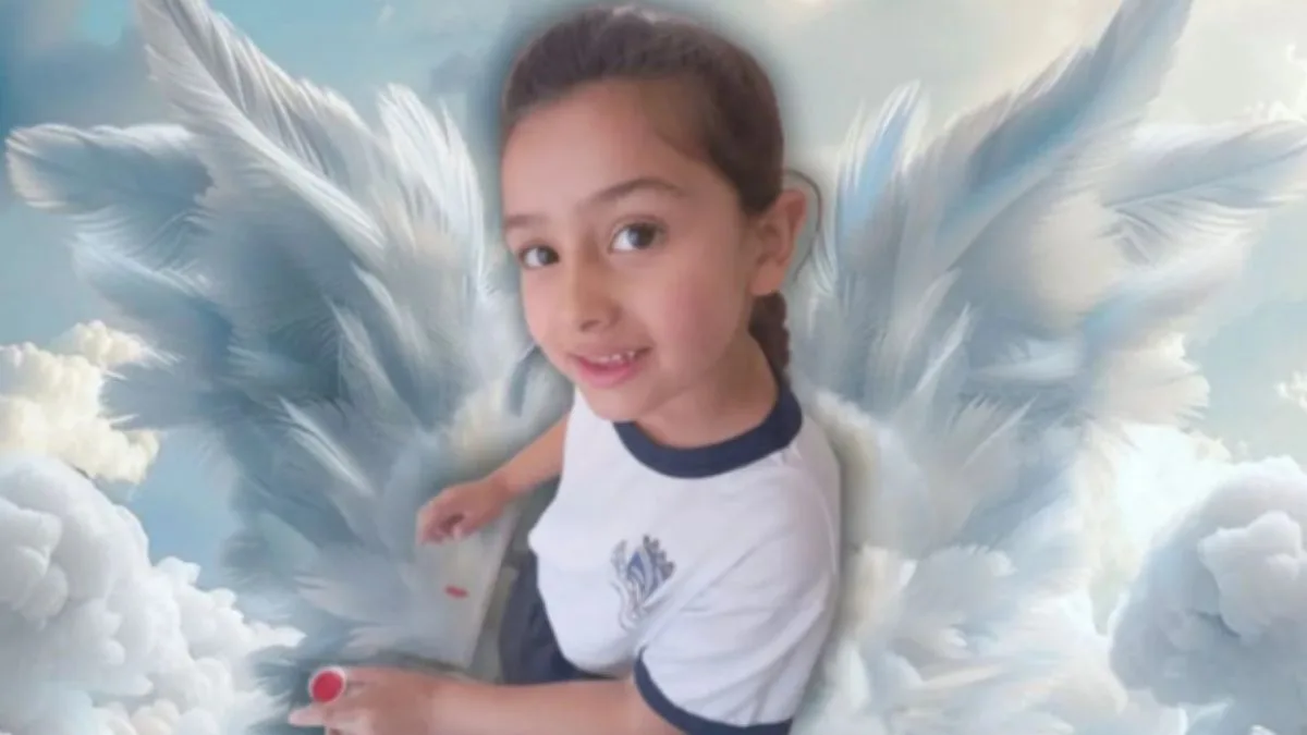 A criança foi ejetada do veículo, ela foi socorrida e internada, mas não resistiu aos ferimentos (Foto: reprodução/redes sociais)