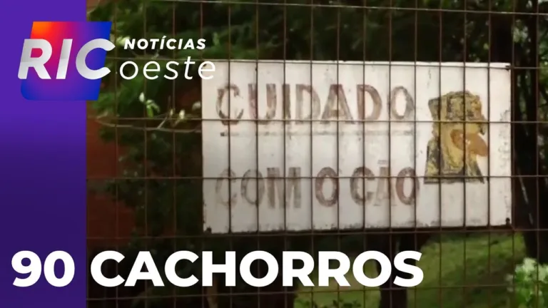 Homem é atacado por 90 cachorros, após invadir propriedade em busca da ex, em Toledo