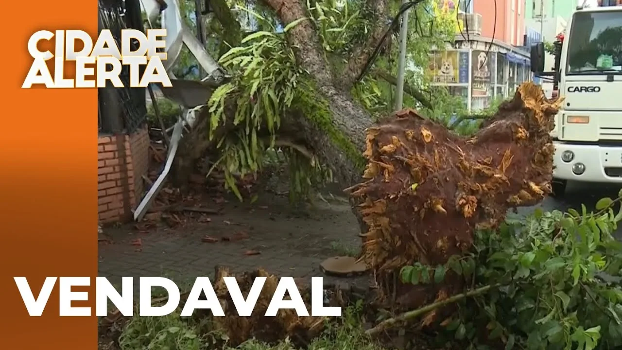 Vendaval derruba árvores e deixa casas destelhadas na região