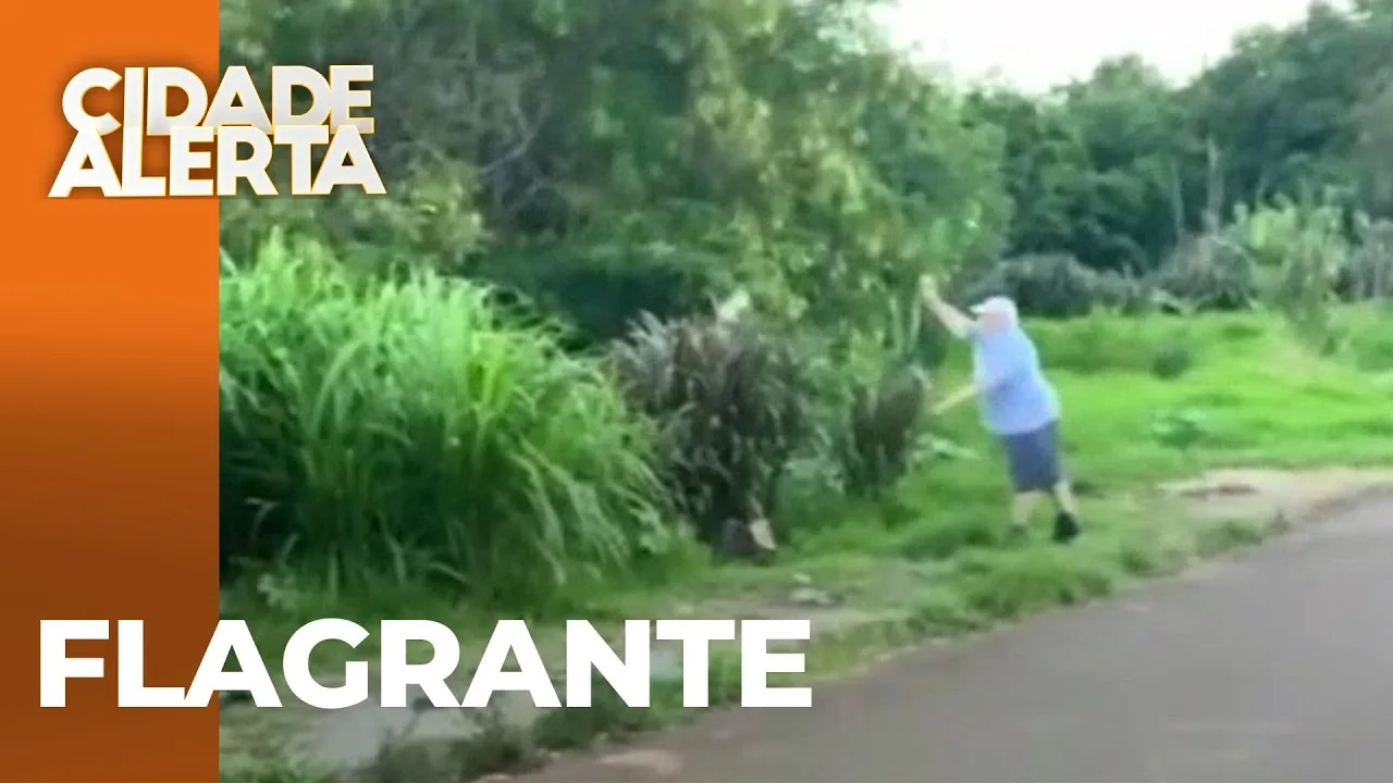 Idoso é flagrado arremessando gato em rio; imagens mostram a ação do suspeito