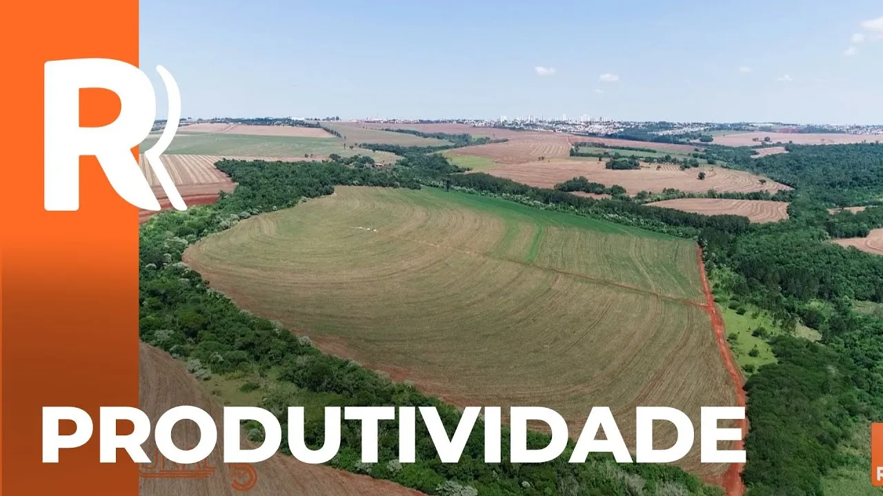 Super solo em Arapongas