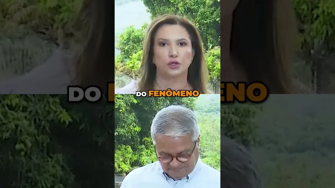 Impactos da seca no plantio da soja #soja #seca