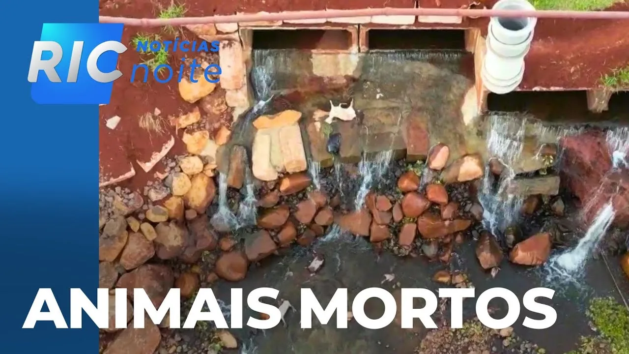 Dezenas de animais mortos são encontrados nos fundos de um condomínio, em Cambé