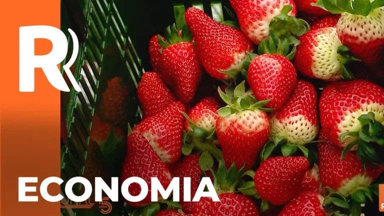 Compra comunitária de insumos ajuda agricultores a economizar