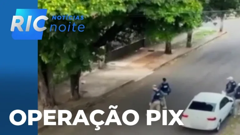 MP investiga servidores de Maringá, suspeitos de cobrar para agilizar o corte de árvores