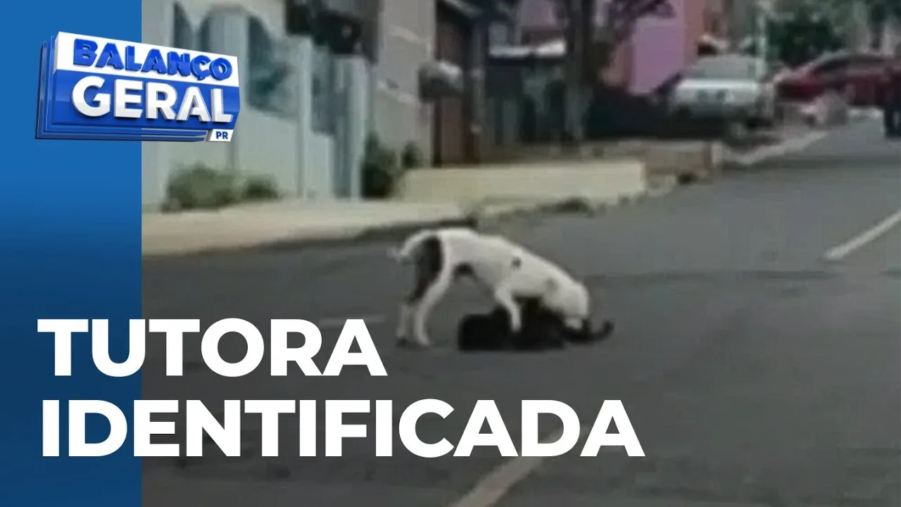 Tutora de pitbull que atacou outro cachorro em parque é identificada pela polícia civil