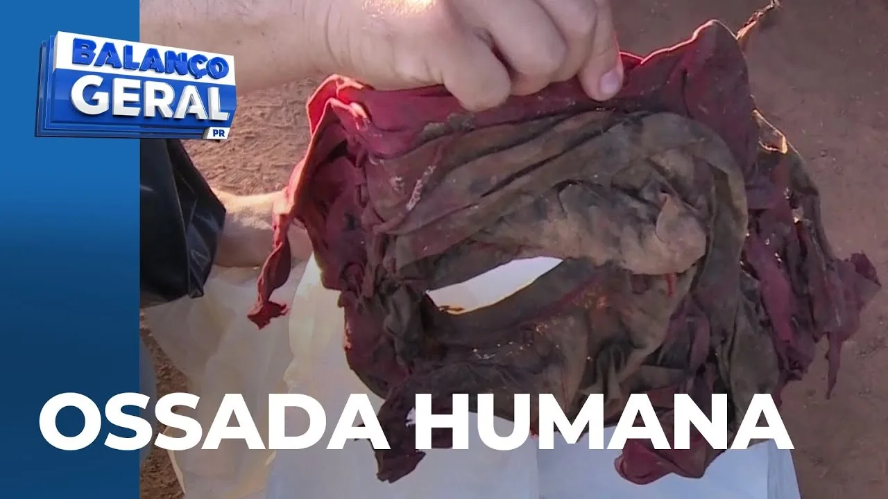 Homem encontra ossada humana em Mandaguari, enquanto saia pela estrada para colher limão