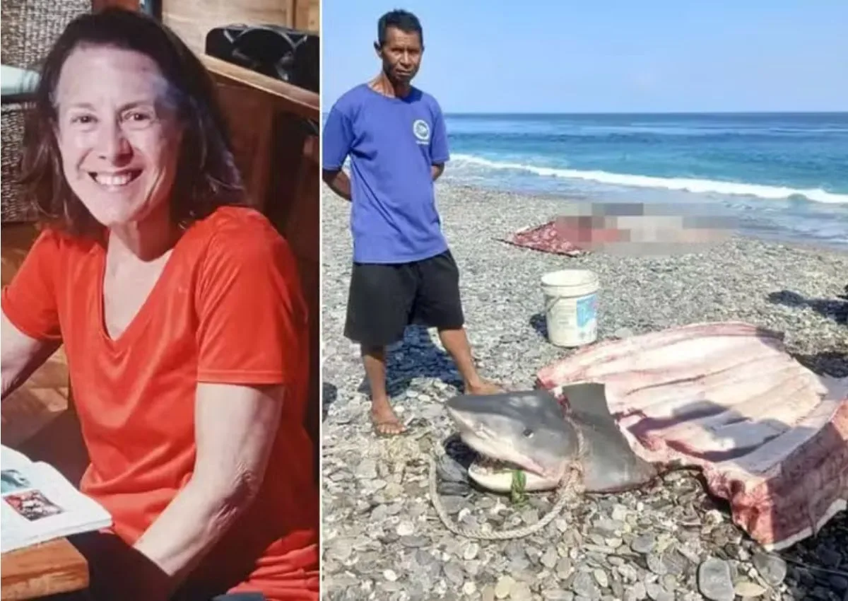 Turista americana é encontrada dentro do estômago de tubarão