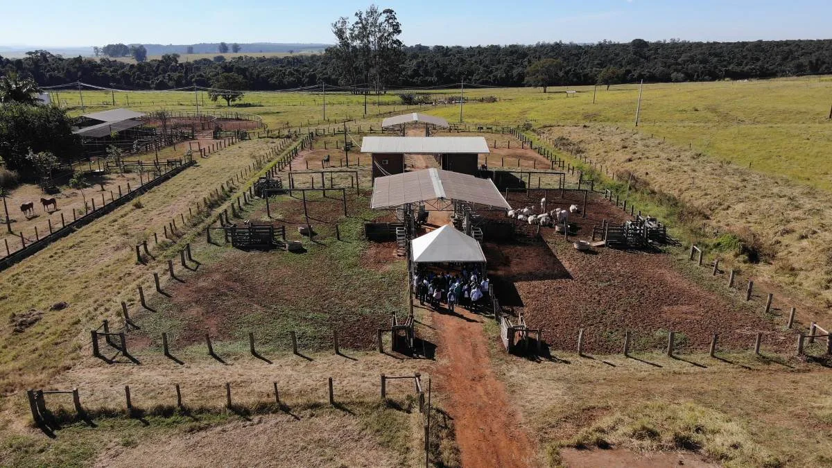 O ano que ainda está começando reserva grandes oportunidades aos interessados em vagas de nível médio nos concursos públicos. Além de certames já confirmados, como o da Empresa Brasileira de Pesquisa Agropecuária (Embrapa), vários outros concursos são aguardados para este ano.