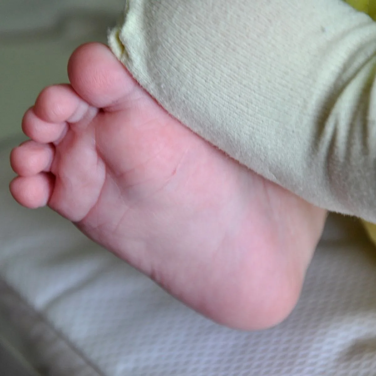 Bebê desaparece ao sair de casa sozinho e é encontrado após reportagem da RICtv