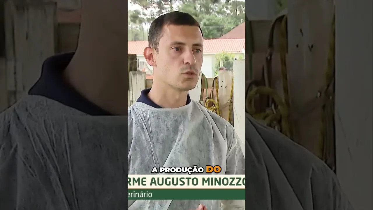 O papel dos cavalos na produção de soros #soro #cobra #cavalo