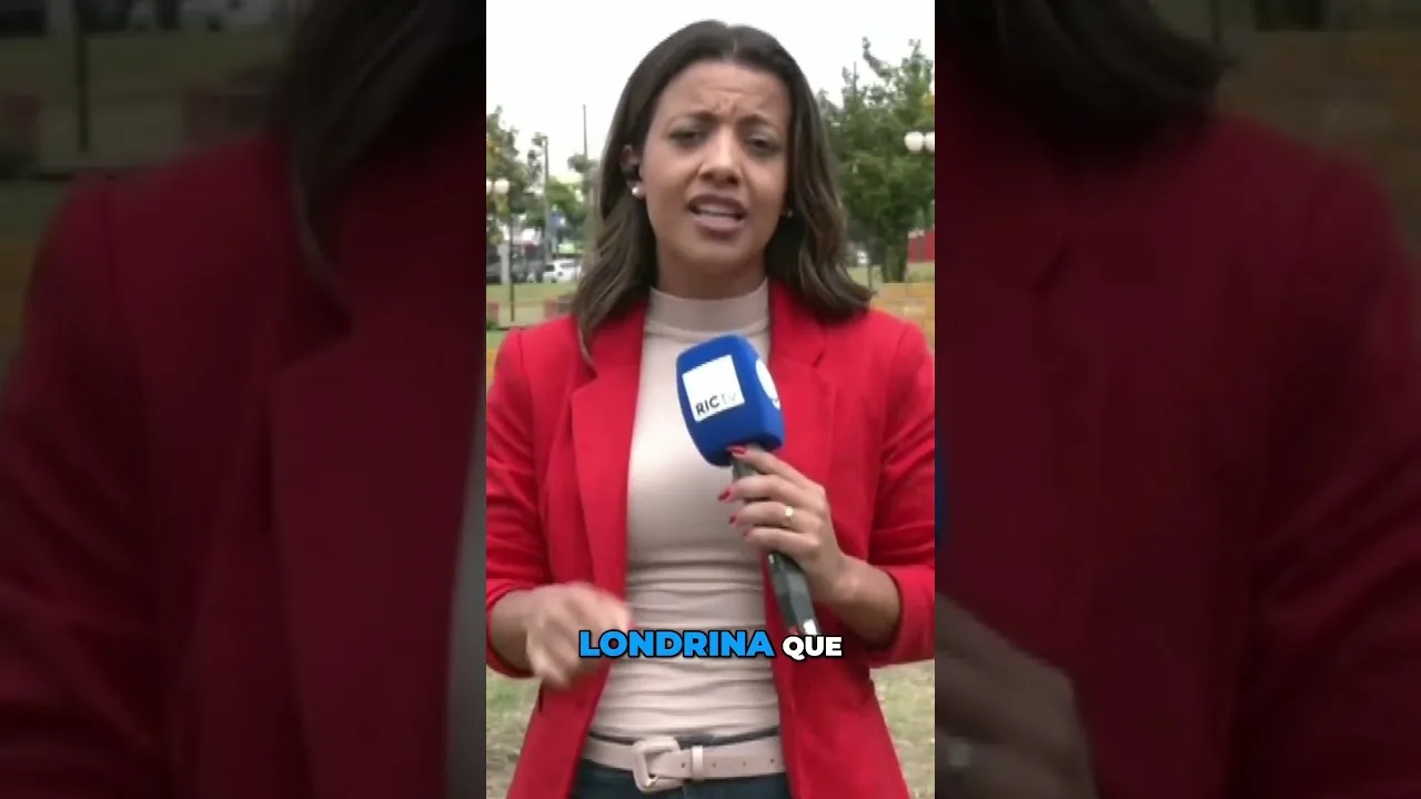 Guarda Municipal deve instalar mais quatro totens de monitoramento em Londrina