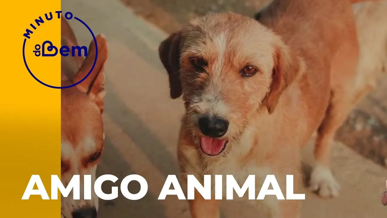 Minuto do Bem: Amigo Animal
