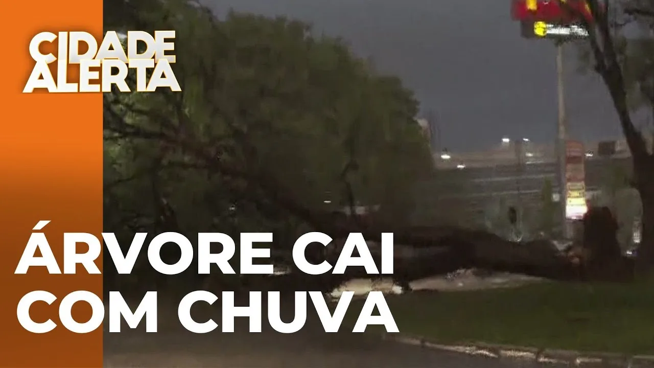 Tempestade causa queda de árvore sobre carro em Maringá
