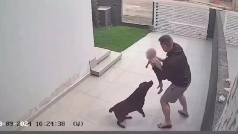 Policial de folga salva filho de vizinha por cima do muro; assista