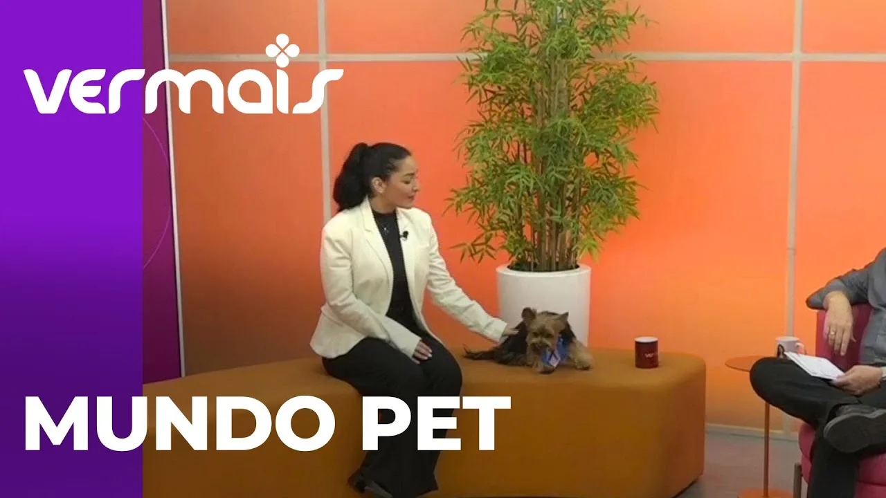 Novembro azul pet: entenda como prevenir o câncer de próstata em seu animalzinho