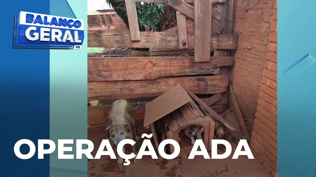 Operação da justiça mostra situação na ADA: ratos, cães magros e remédios vencidos