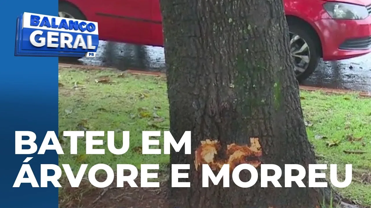 Motociclista morre após desviar de cachorro e bater em árvore