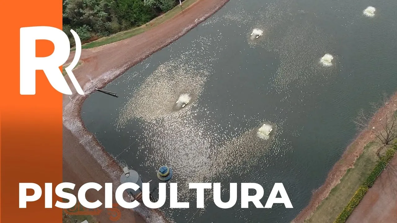 Marcia Ecoo foi a ganhadora da categoria Piscicultura no prêmio Orgulho da Terra