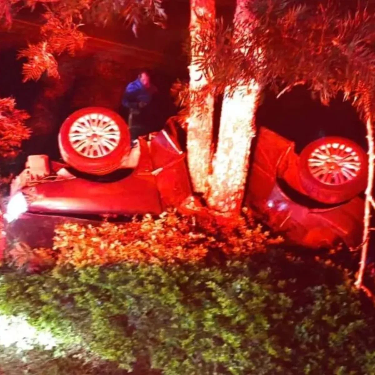 Uma jovem de 17 anos, grávida de sete meses, morreu em um grave acidente na rodovia PR-487, em Manoel Ribas, na região central do Paraná, na madrugada deste domingo (29). Conforma as informações da Polícia Rodoviária Estadual (PRE), a vítima, identificada como Larissa dos Santos Redel, era a passageira do carro conduzido pelo seu marido, que perdeu o controle e bateu contra uma árvore, ao lado da estrada. O motorista, um jovem de 21 anos, foi socorrido com ferimentos e levado para o hospital.