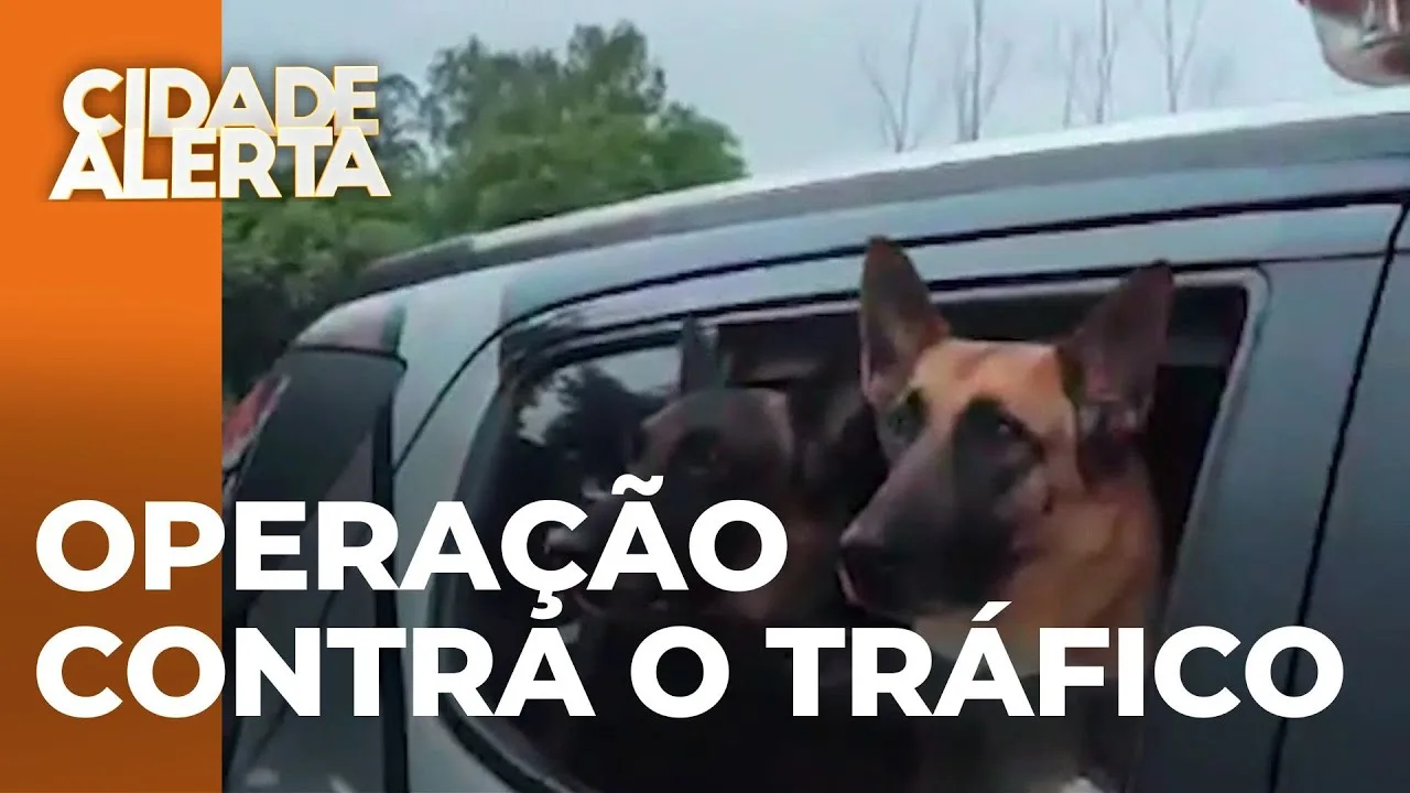 Operação da Polícia Civil: 14 presos em combate ao tráfico de drogas