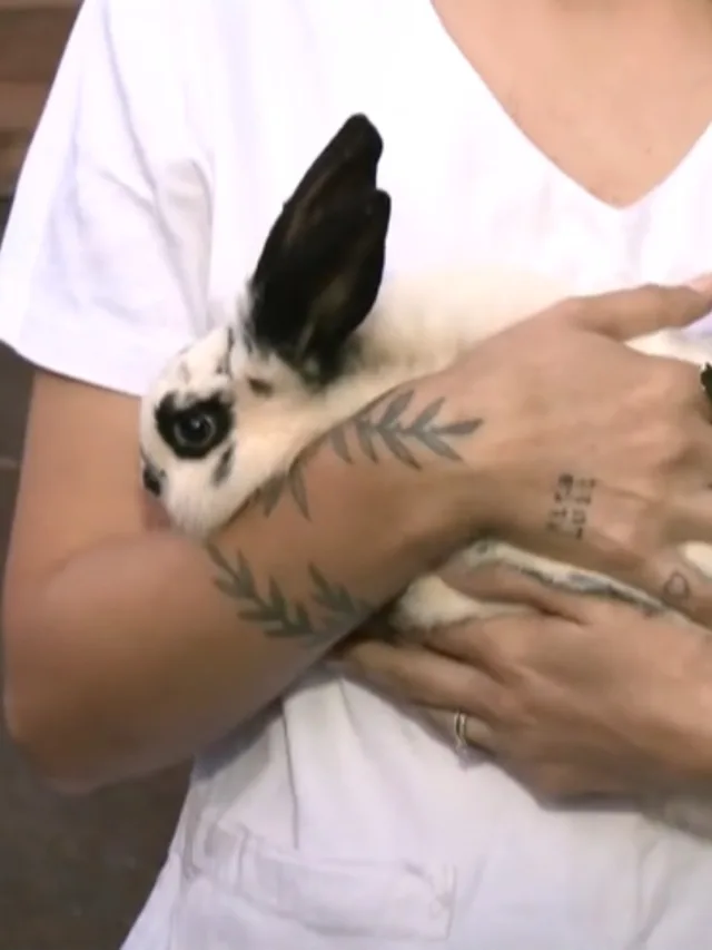 Coelha sobrevivente receberá o nome de Vitória