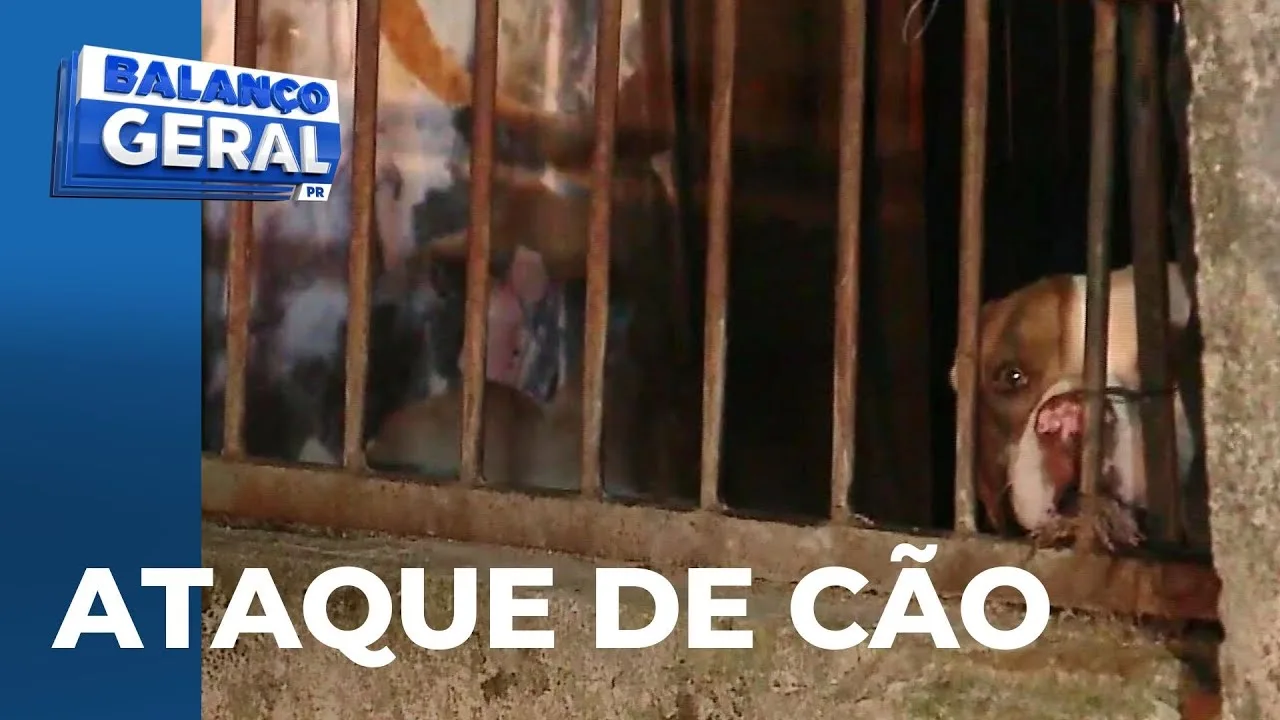 Cachorro se assusta com o próprio dono, que chegava em casa à noite, e morde o pescoço dele