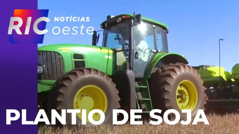 Começa o plantio da soja e estimativa é de 22,4 milhões de toneladas