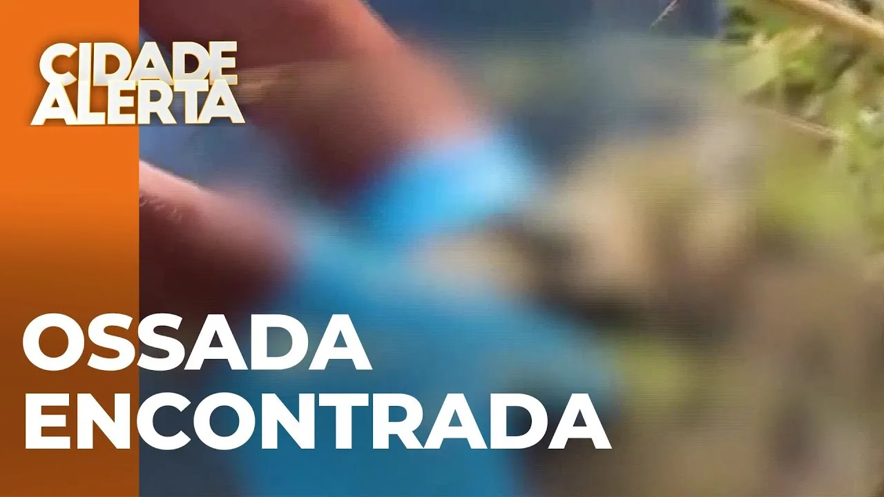 Ossada descoberta na zona rural de Marialva: Perícia indica morte acontecida há 4 semanas