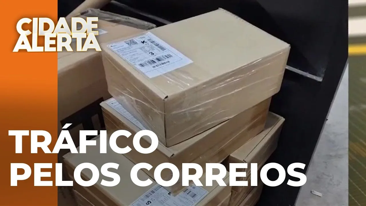 Operação do Denarc combate envio de drogas por transportadoras e correios