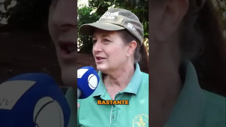 A importância da #agriculturafamiliar para o desenvolvimento #rural