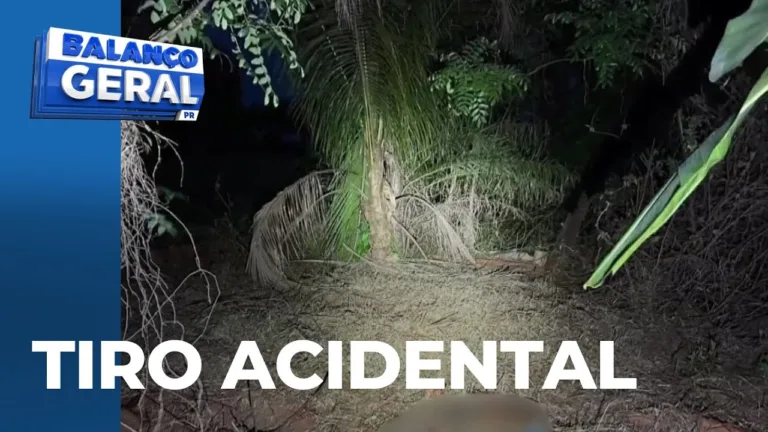 Adolescente é baleado pela própria espingarda enquanto saia para caçar