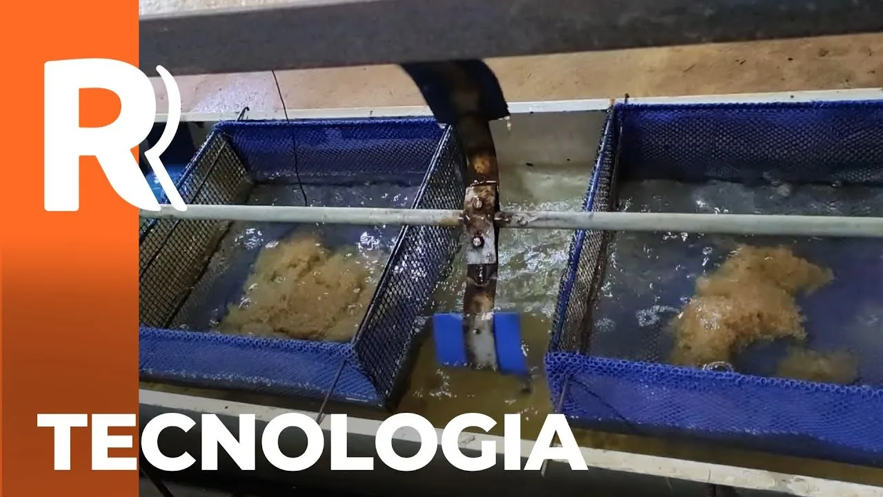 Veja quem foi o vencedor na categoria Tecnologia no prêmio Orgulho da Terra