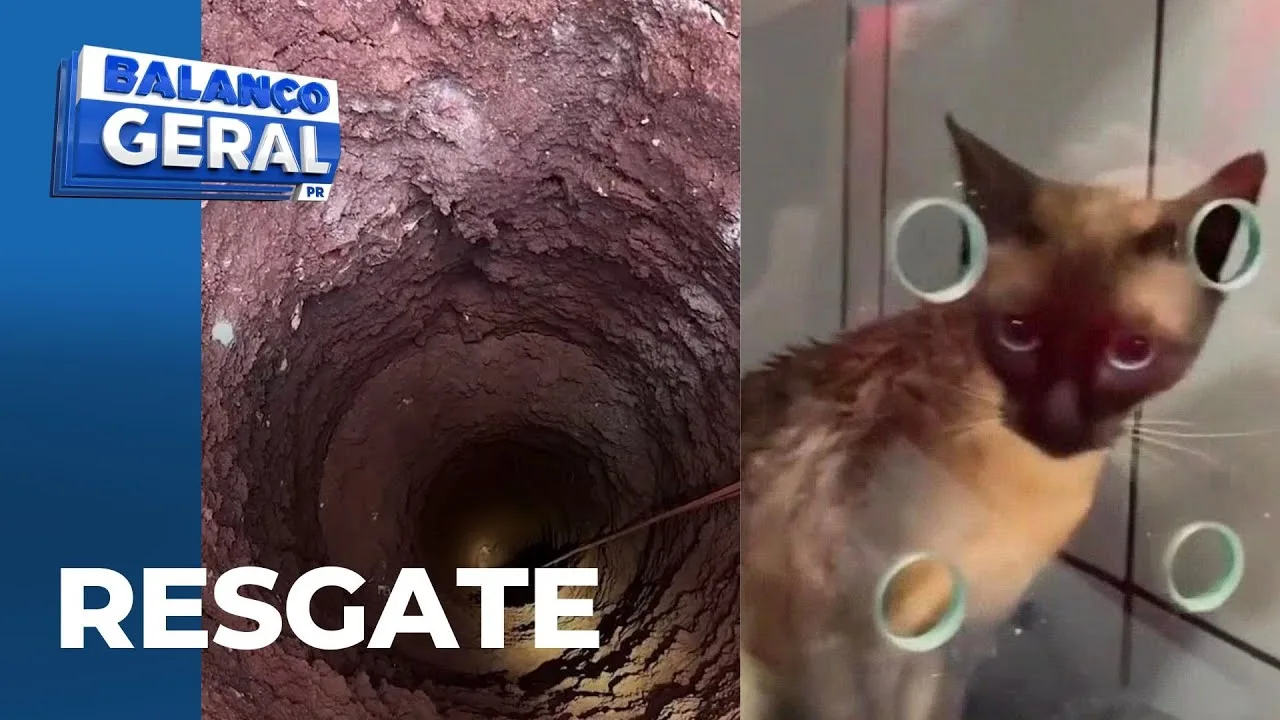 Gato cai em buraco de 13 metros e é resgatado por bombeiros; operação demorou 5 horas