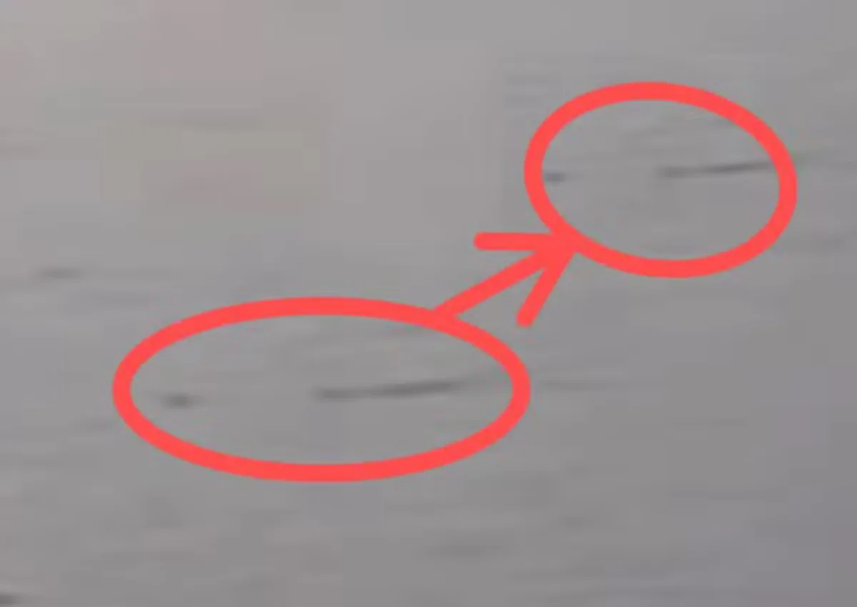 Irlandês registra imagens do 'Monstro do lago Ness'