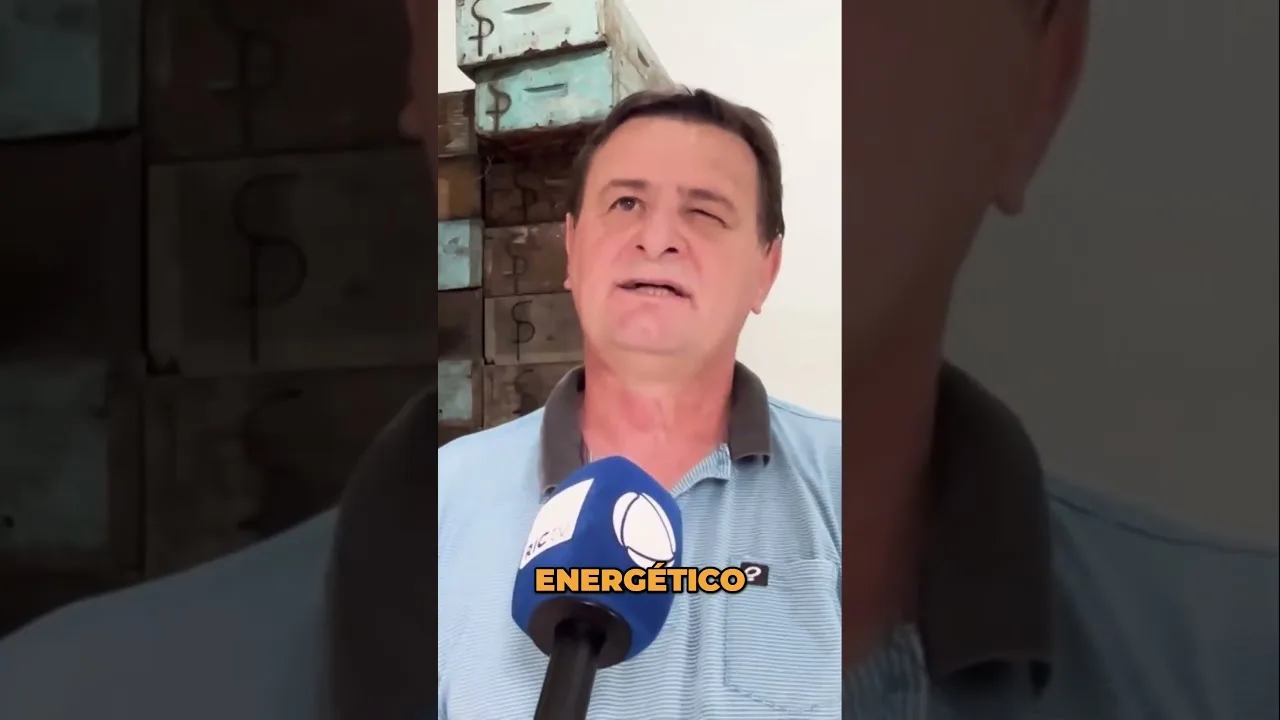 Descubra os Benefícios do Mel #apicultores #mel #abelha