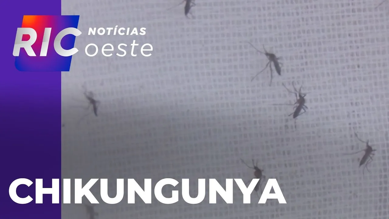 Alerta em Cascavel: casos de Chikungunya passam de 14 para 57 em uma semana