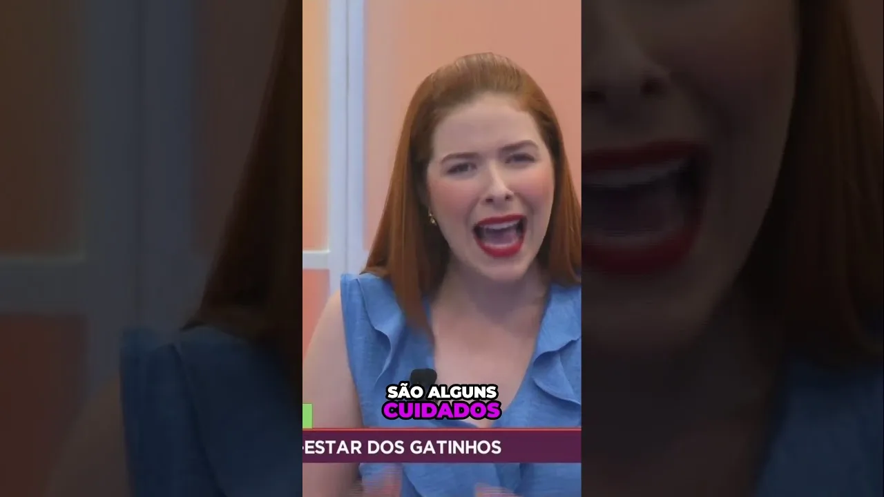 Saiba os segredos para o bem-estar dos seus gatinhos