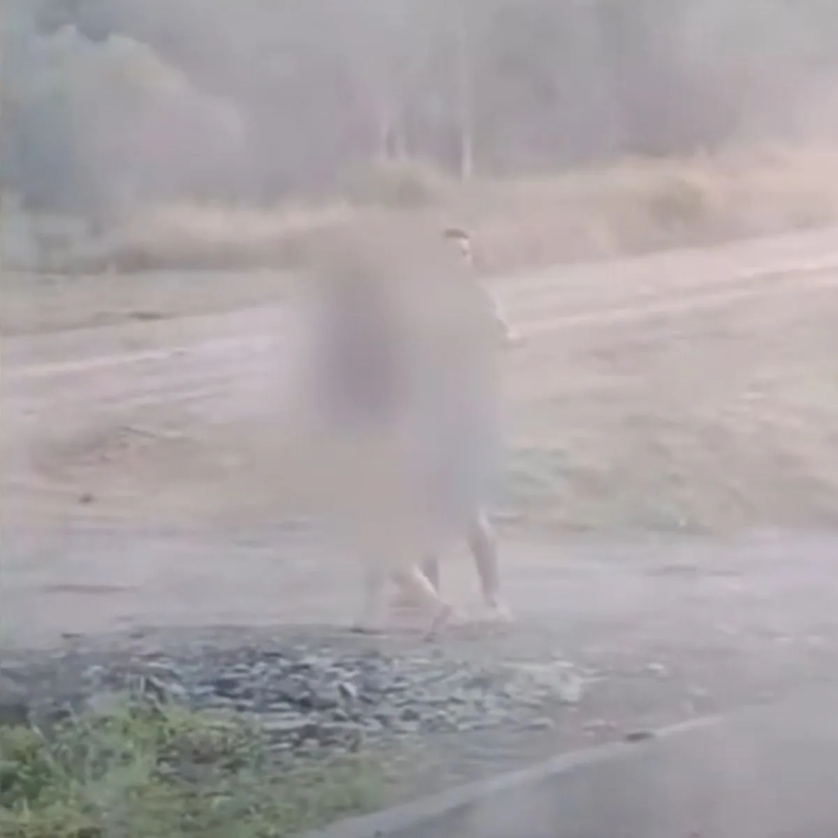 Mulheres saem seminuas de carro após acidente com 2 veículos no PR; veja vídeo