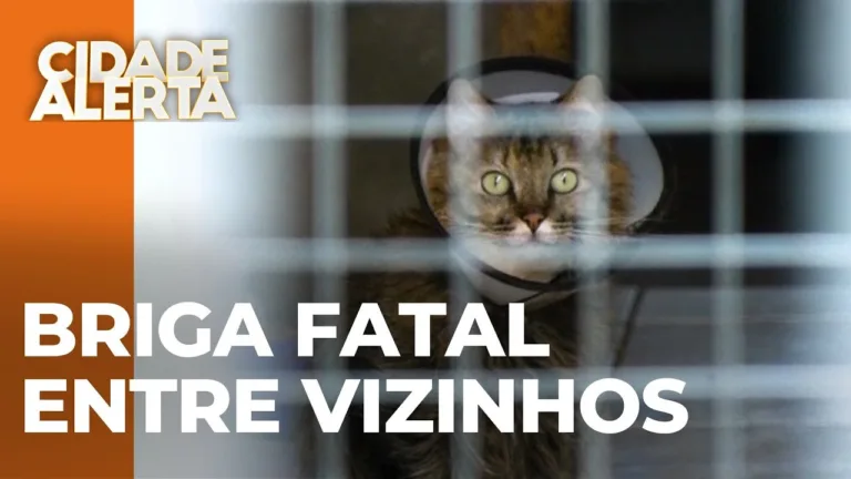 Briga de vizinhos por gatos termina em tragédia: Homem é morto a facadas