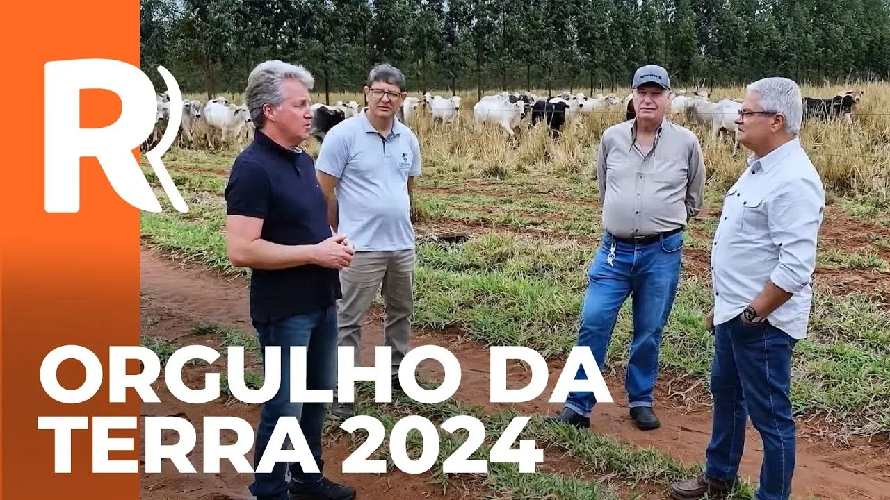 Confira um pouco das 19 reportagens com os vencedores do Prêmio Orgulho da Terra 2024