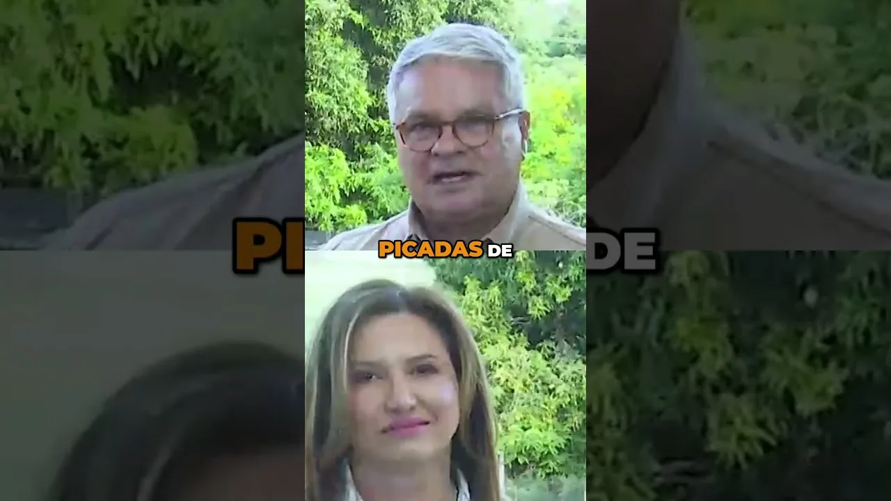 O papel crucial dos animais na salvação de vidas #soro #ciência