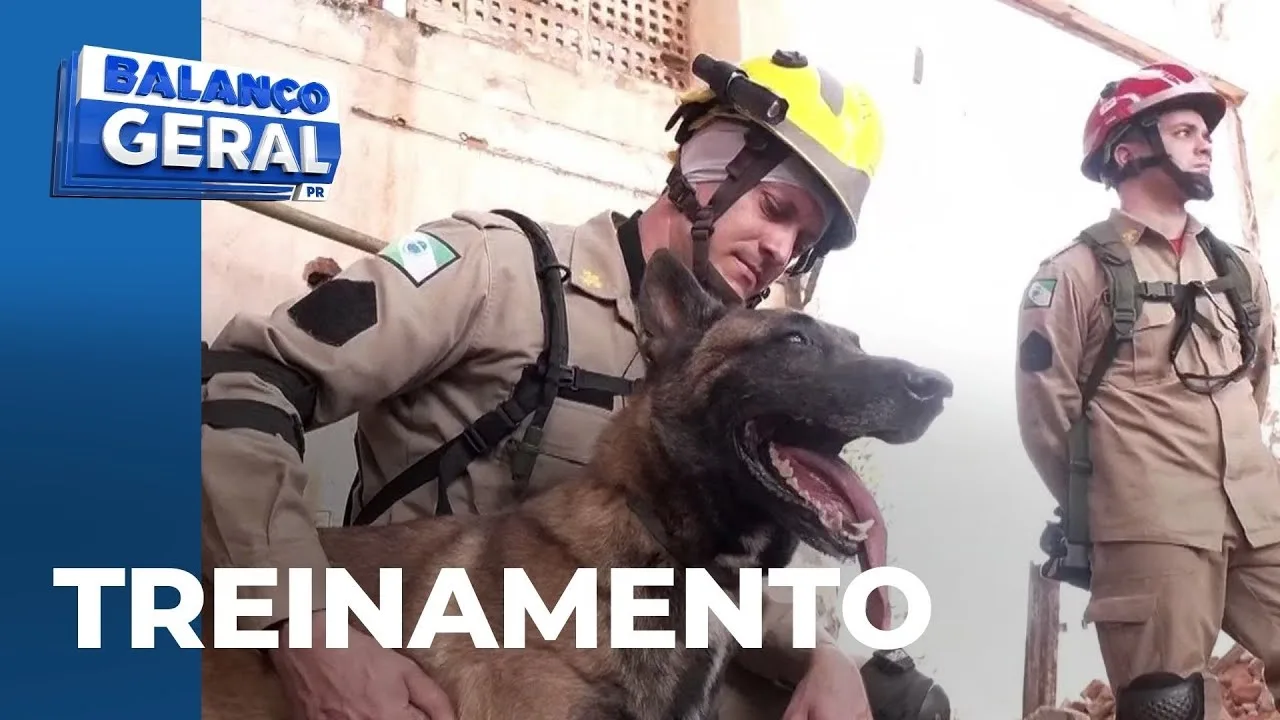 Bombeiros passam por treinamento para atuarem em desastres; repórter vive a experiência
