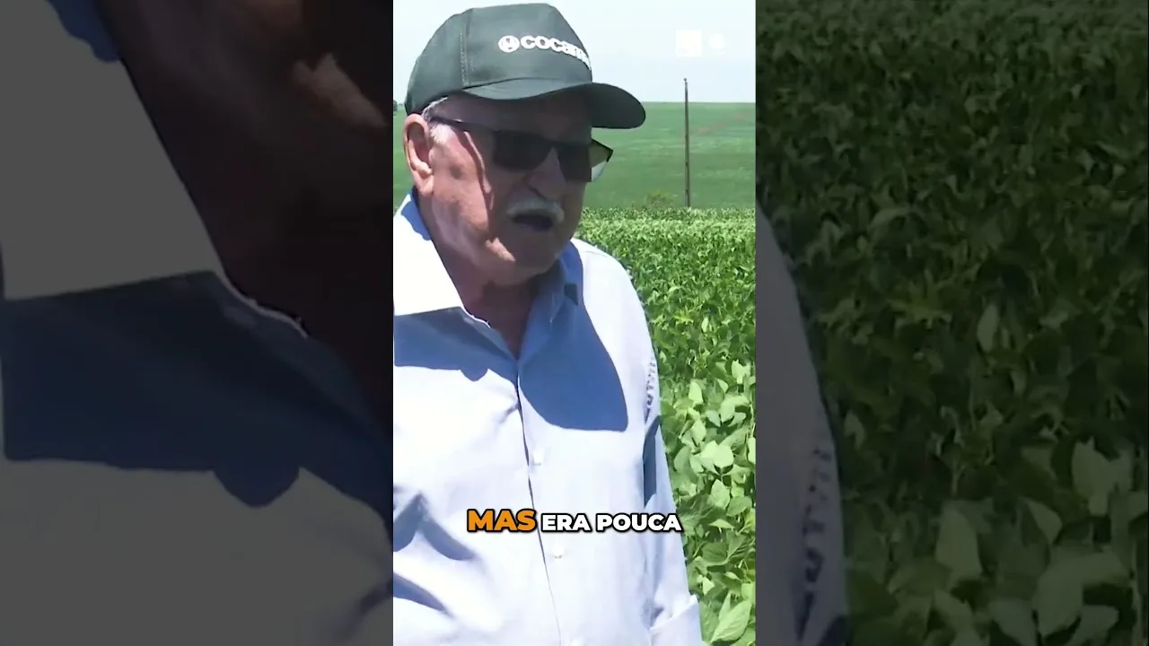 A Transformação do Algodão para Soja #algodão #soja #agronegócio