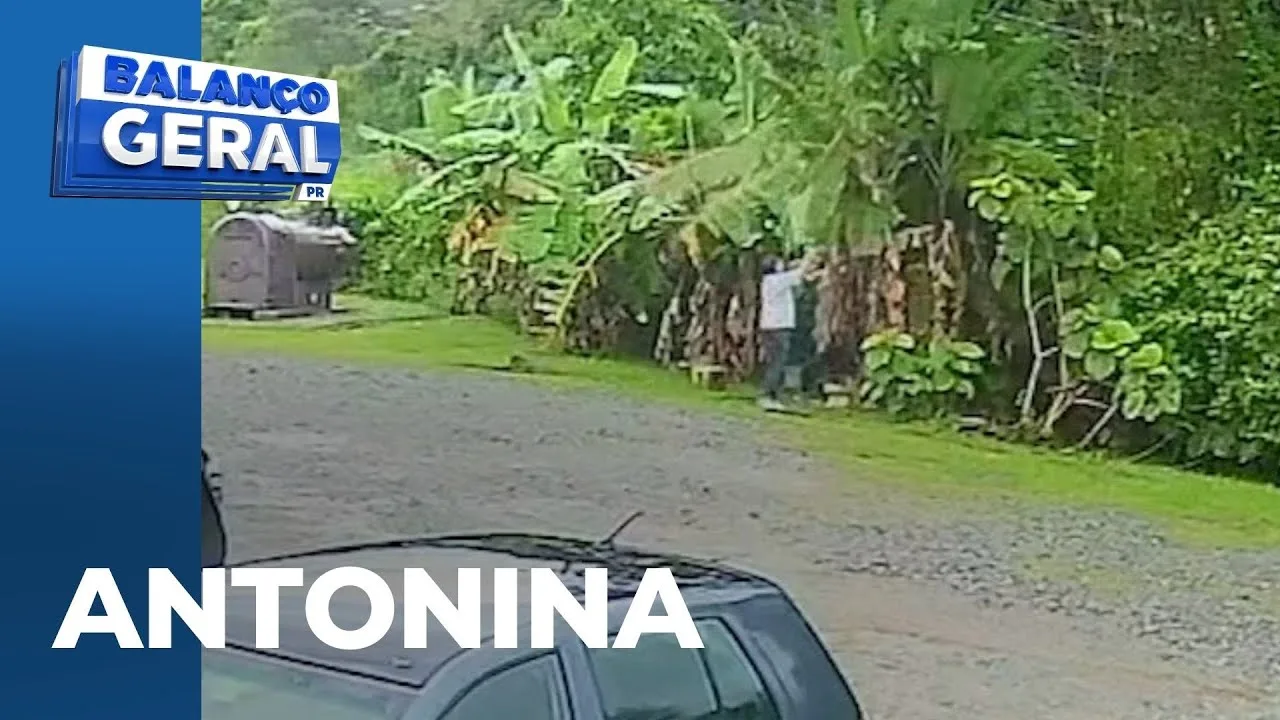 Cliente é flagrado levando dois cachos de bananeira em uma loja de bala de bananas